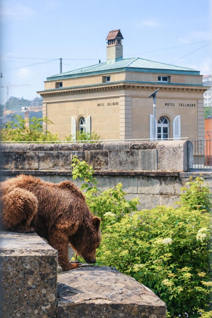 Zollhaus und der Bär